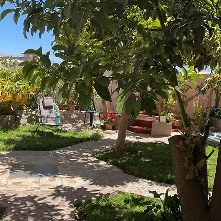 Las Palmeras Eco Hostel Cabanaconde Extérieur photo