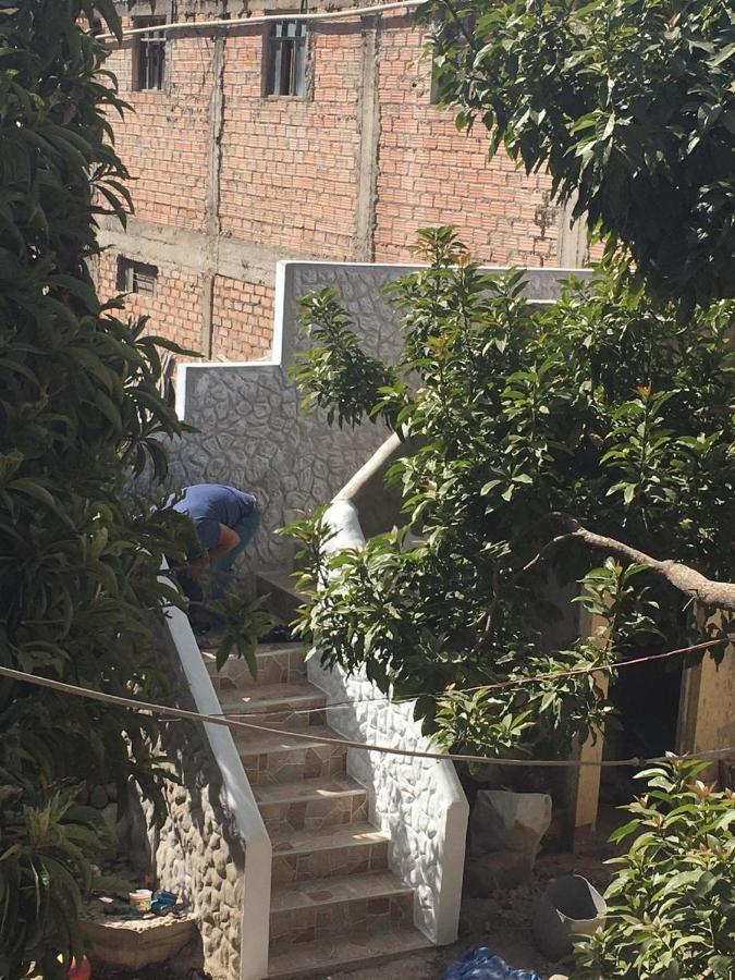 Las Palmeras Eco Hostel Cabanaconde Extérieur photo