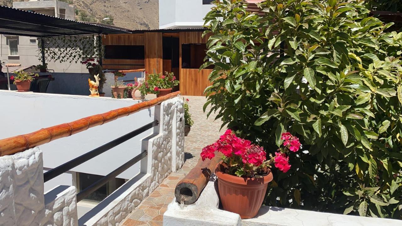 Las Palmeras Eco Hostel Cabanaconde Extérieur photo